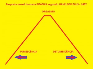 Fases-biológicas-da-resposta-sexual-humana-01