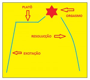 Fases-biológicas-da-resposta-sexual-humana-03