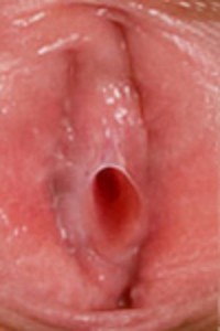 anatomia-vagina-07